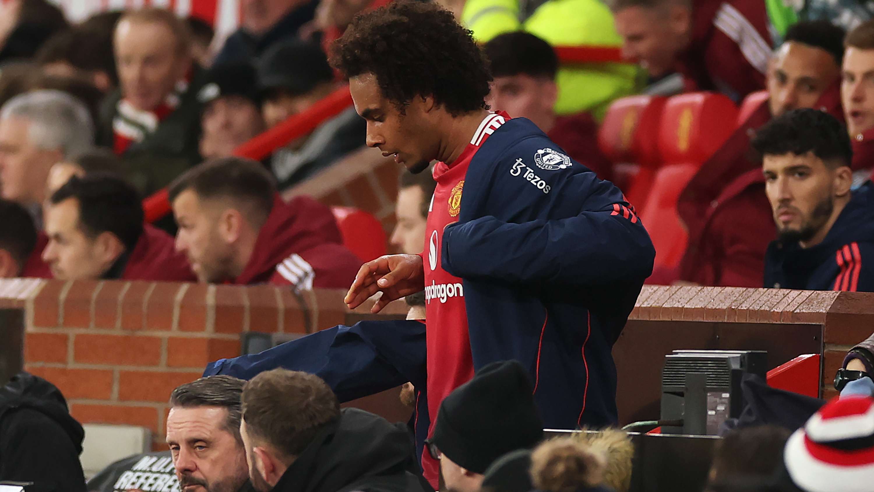 的水仙花 的水仙花