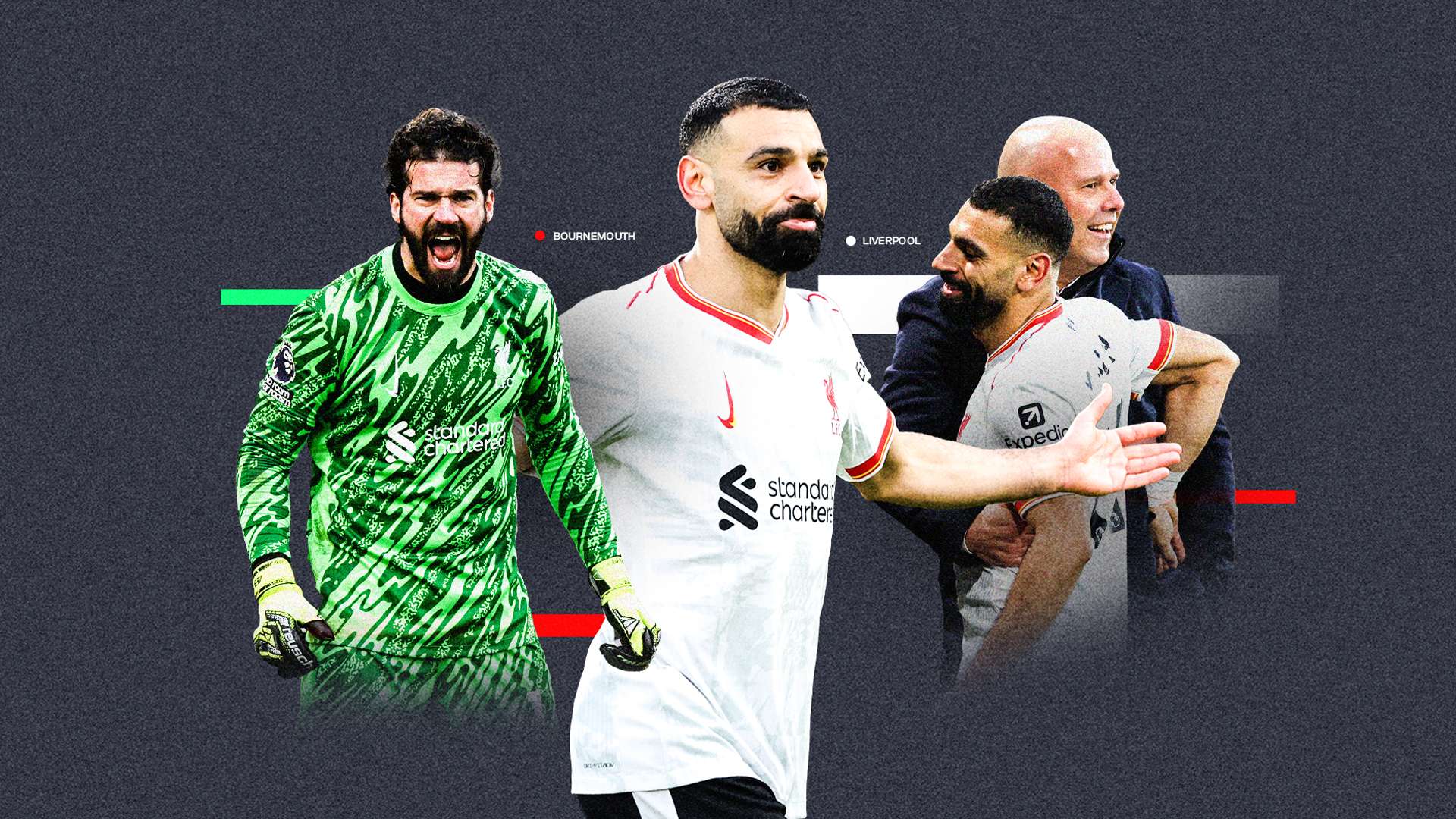 揭示人道主 揭示人道主