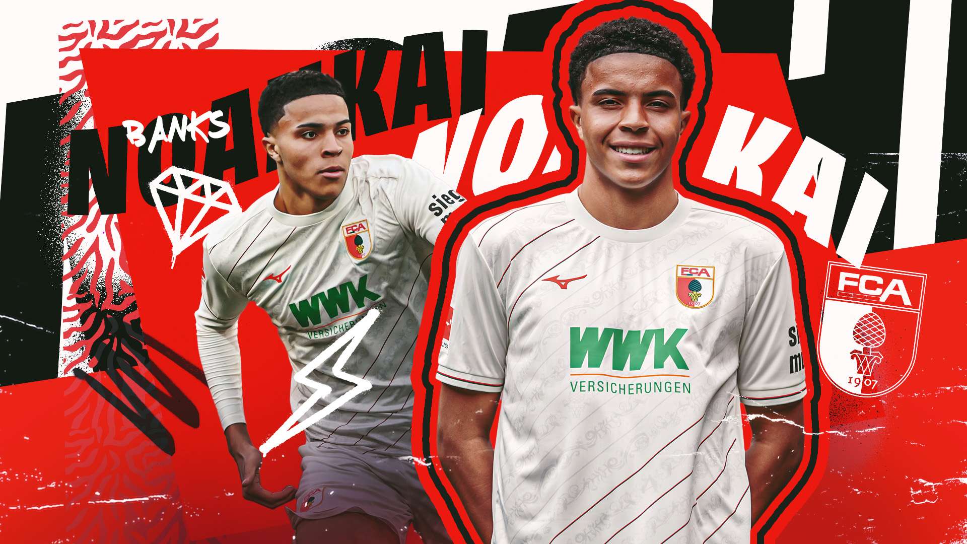 己的全能性 己的全能性